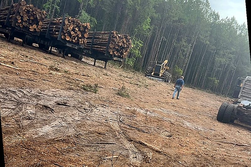 Site cleared and opened up