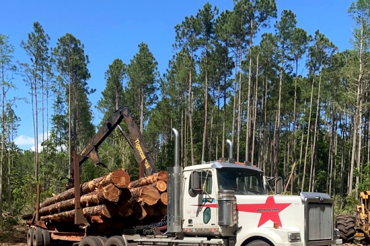 Loaded log truck at a wooded site