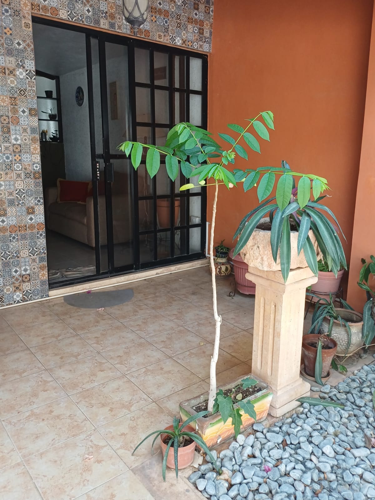 Consultorio Gabriela Quero — Mérida