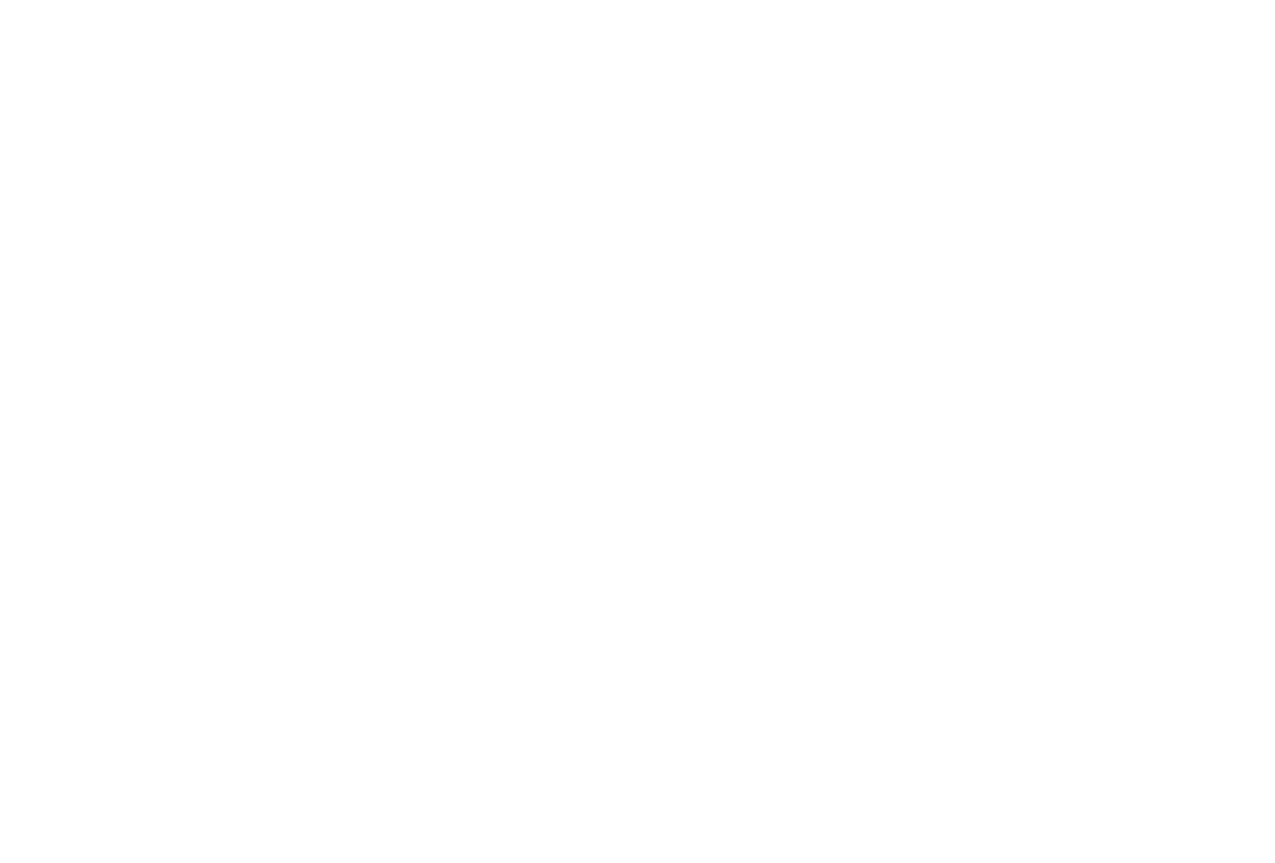 The Growth Leader