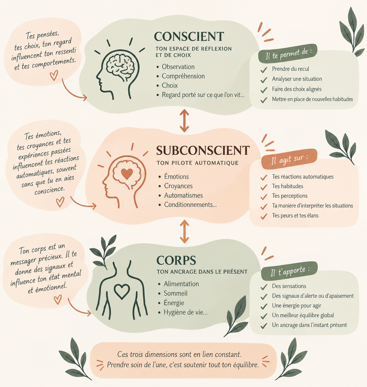 Schéma des liens entre le conscient, le subconscient et le corps : pensées et choix, émotions et automatismes, alimentation, sommeil et énergie. Ces trois dimensions interagissent pour soutenir l’équilibre.