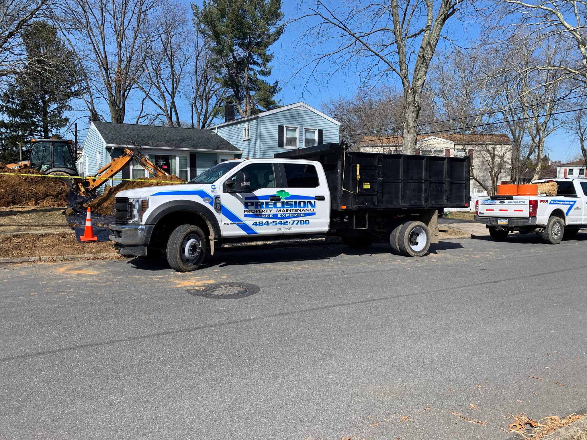Precision Tree Experts tree care
