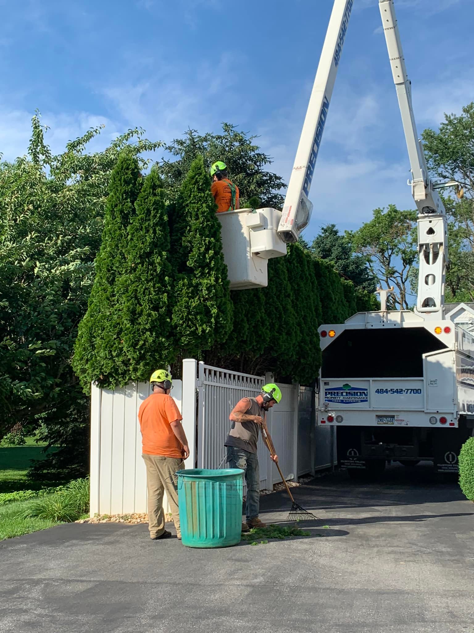 Commercial tree care services