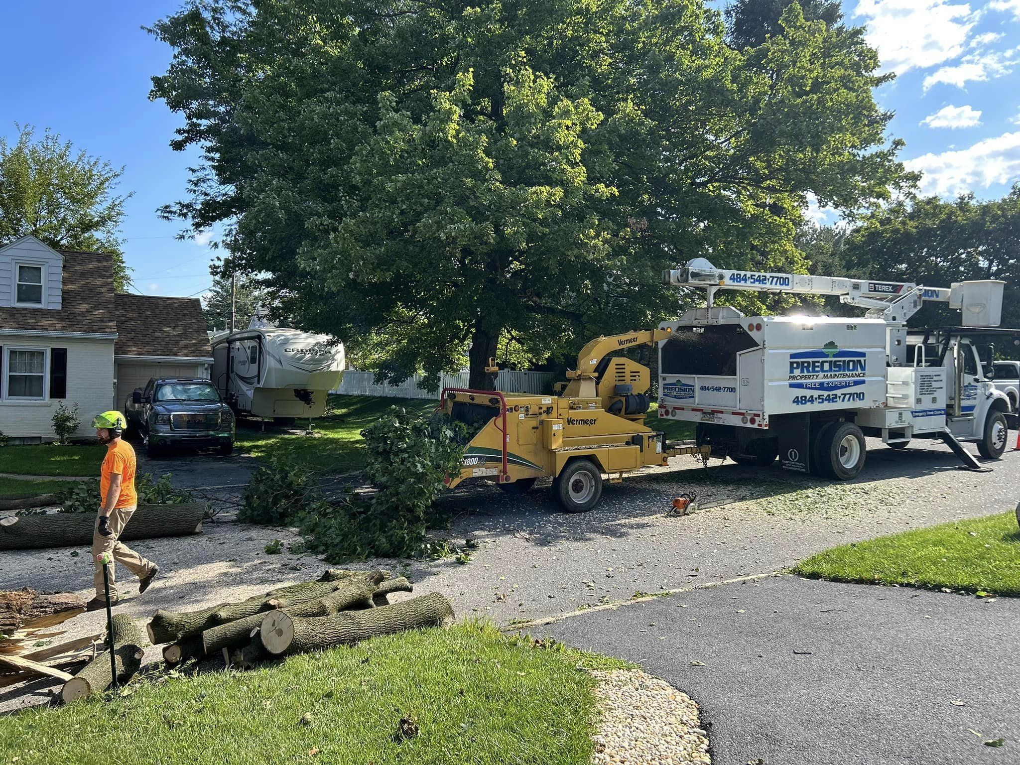 Professional tree care in Phillipsburg, NJ