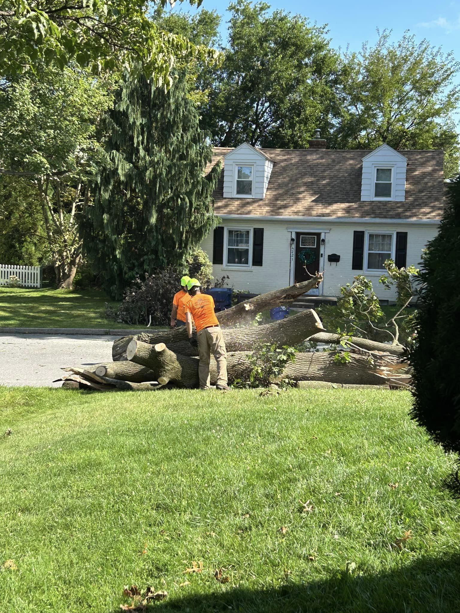 Precision Tree Experts working on a mature property in Washington, NJ