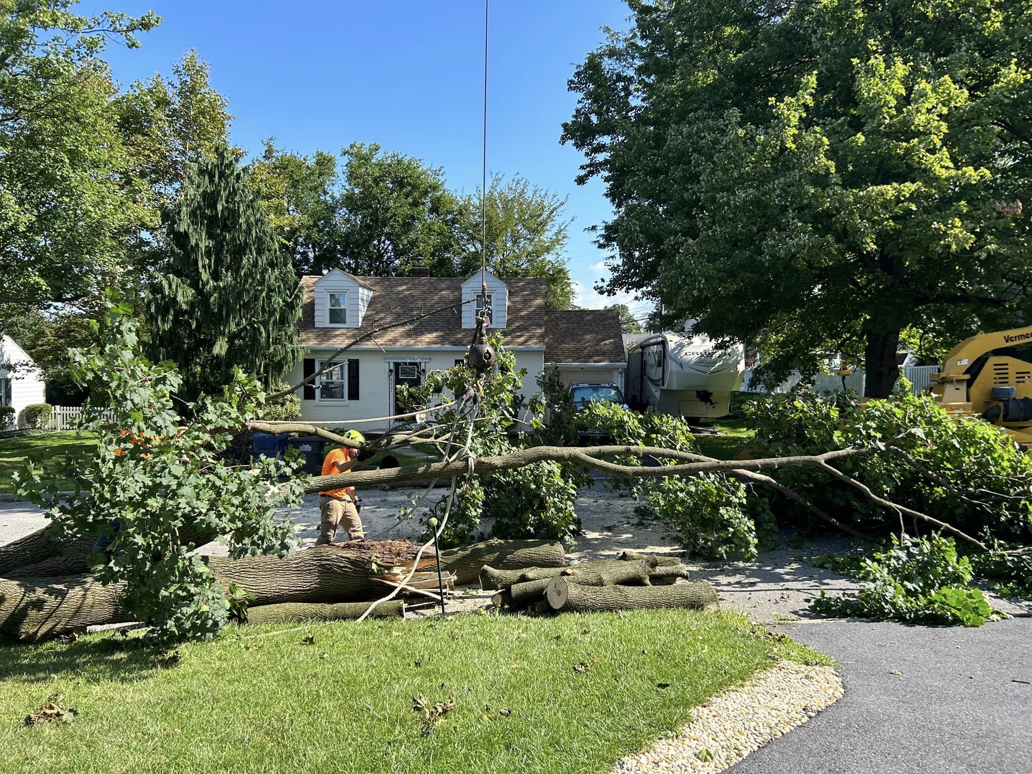Storm damage cleanup project 4