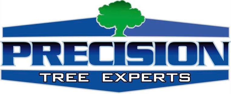 ISA Certified Arborist Services