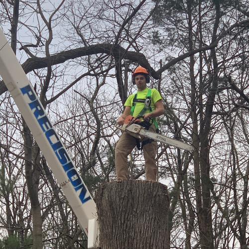 Precision Tree Experts crew working carefully in Wind Gap, PA