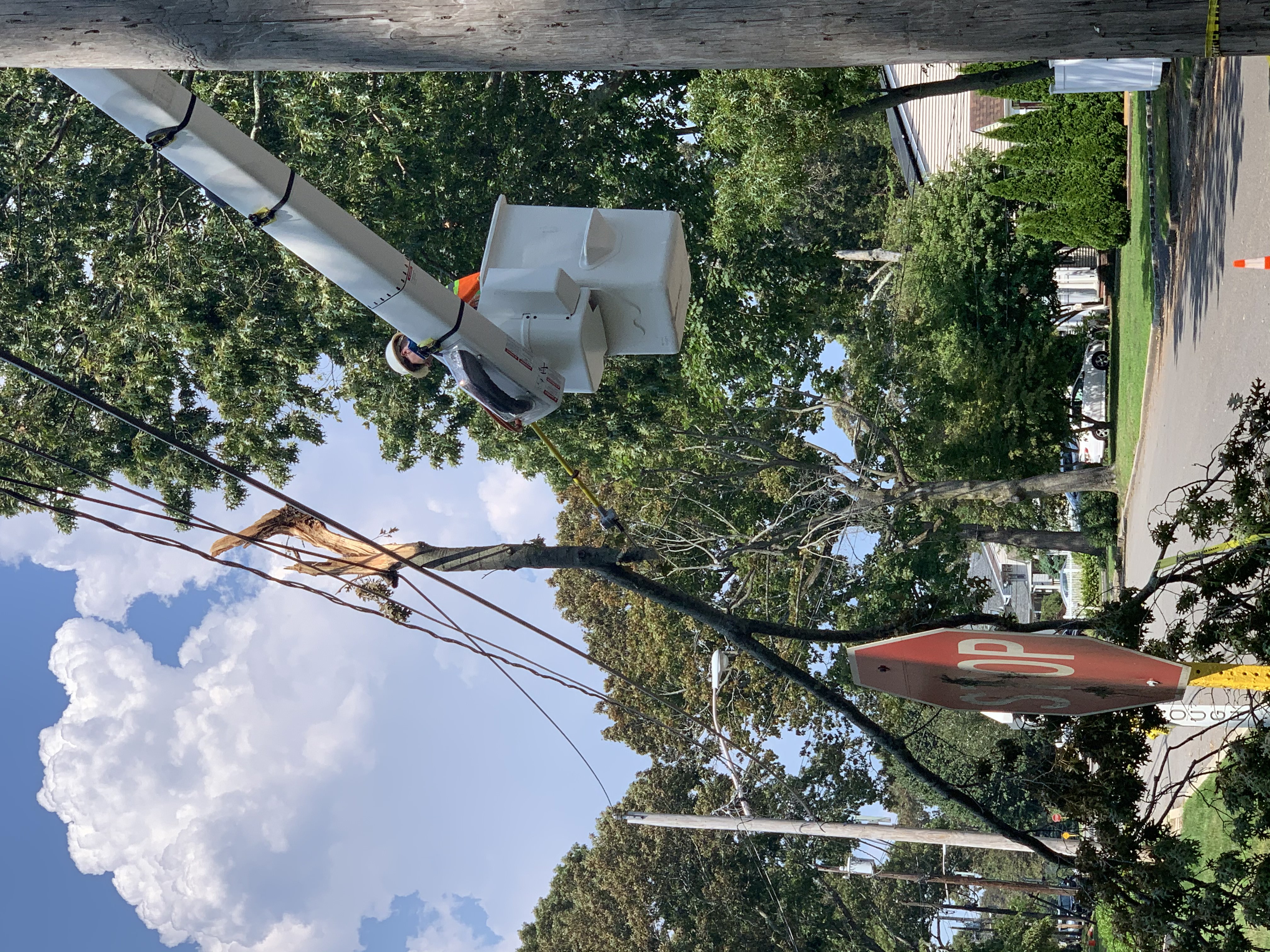 Precision Tree Experts crew working carefully in Stockertown, PA