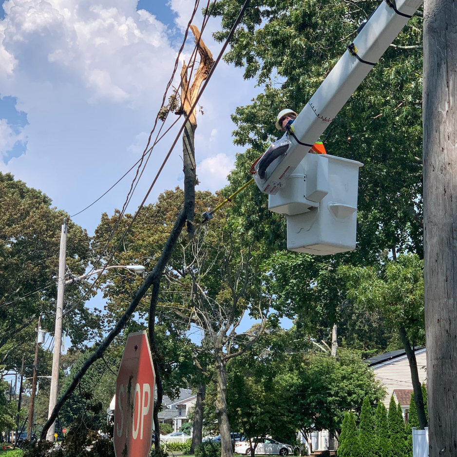 Storm damage cleanup project 2
