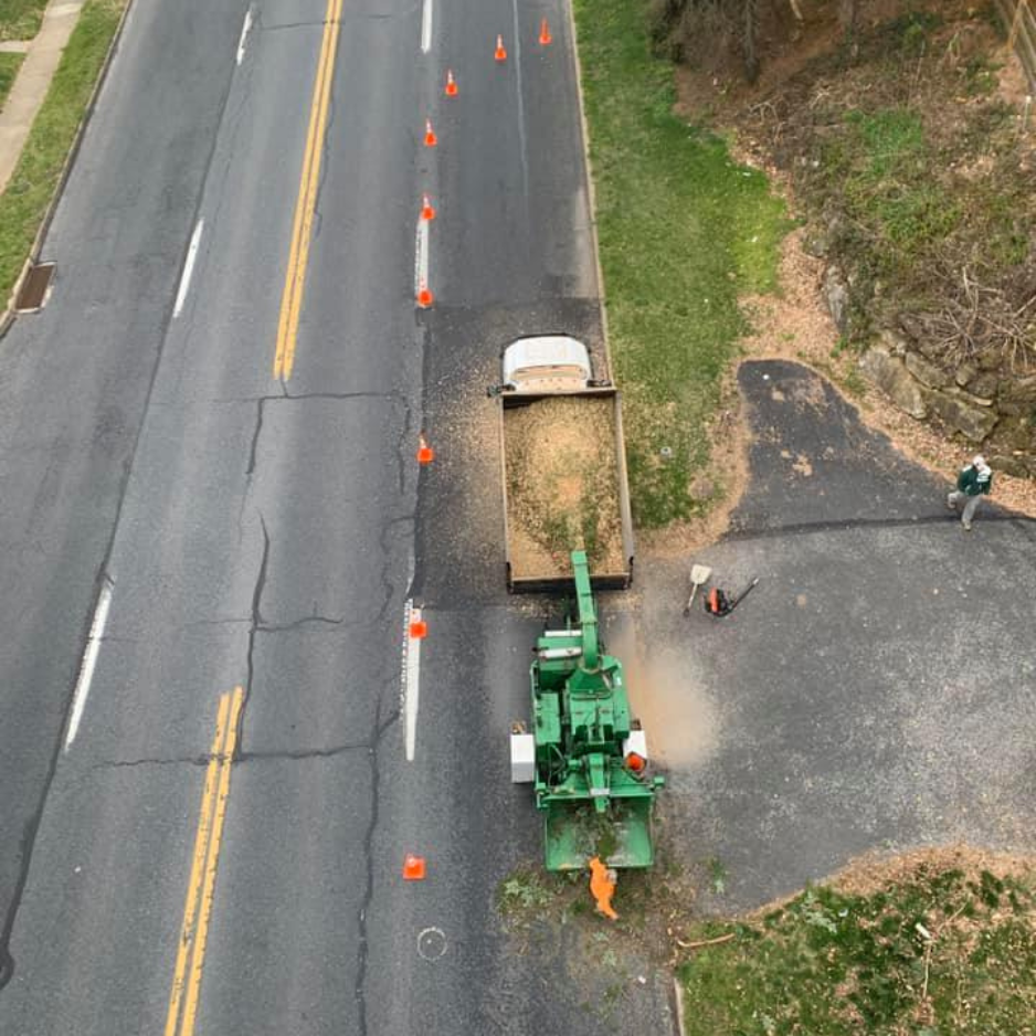 Professional tree care in Hellertown, PA