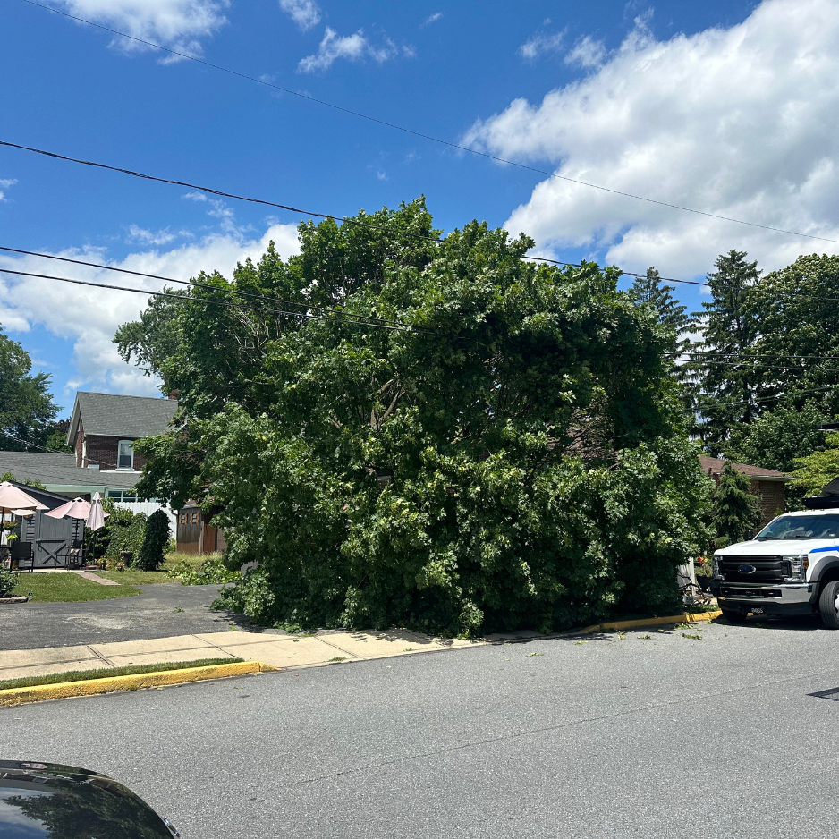Storm damage cleanup project 3