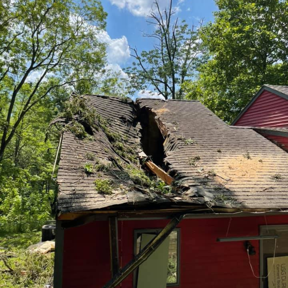 Storm damage cleanup project 1