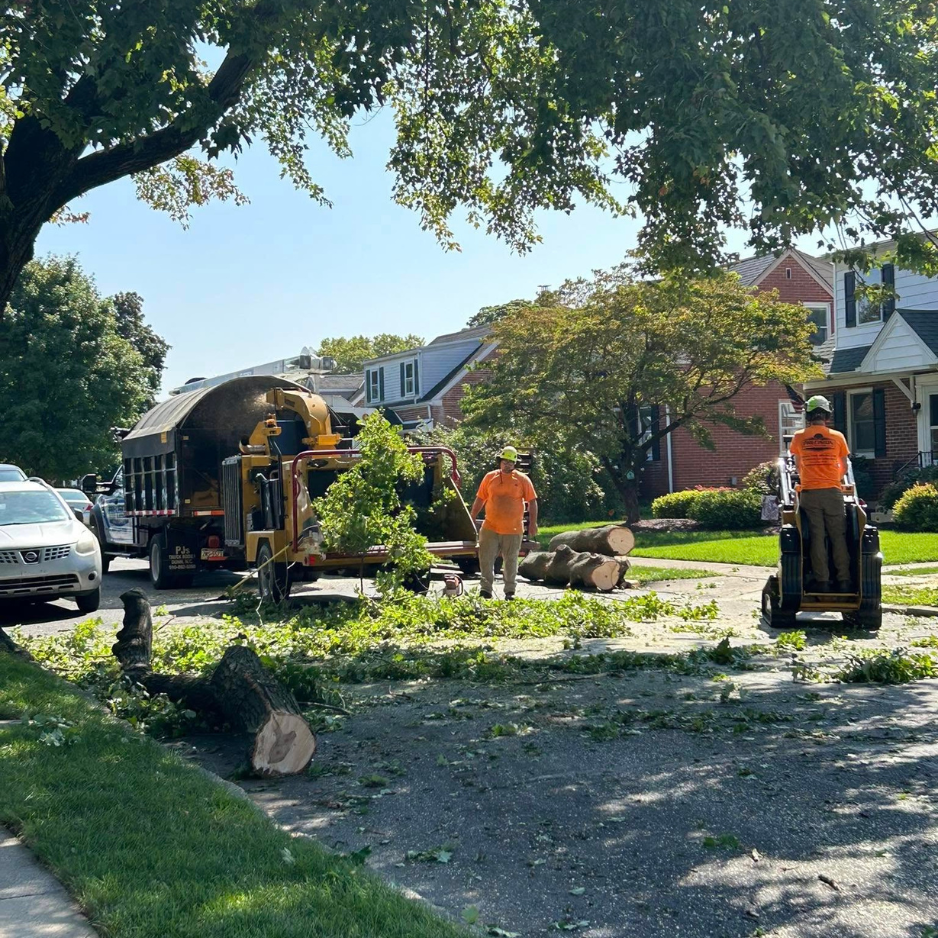 Professional tree care in Nazareth, PA