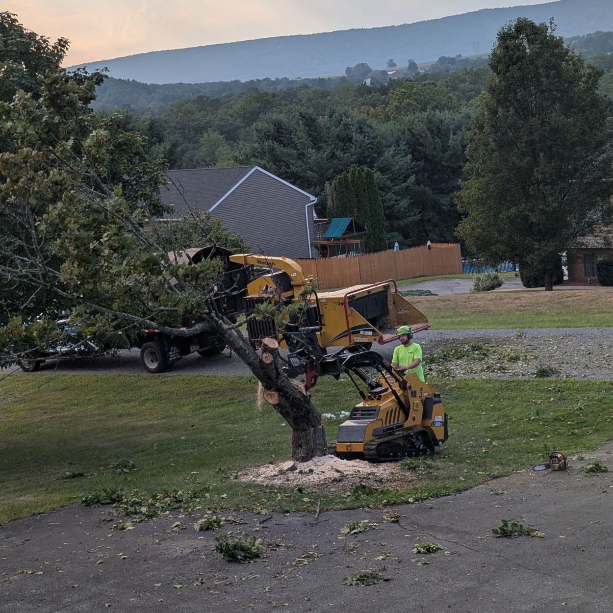 Precision Tree Experts Precision Tree Experts