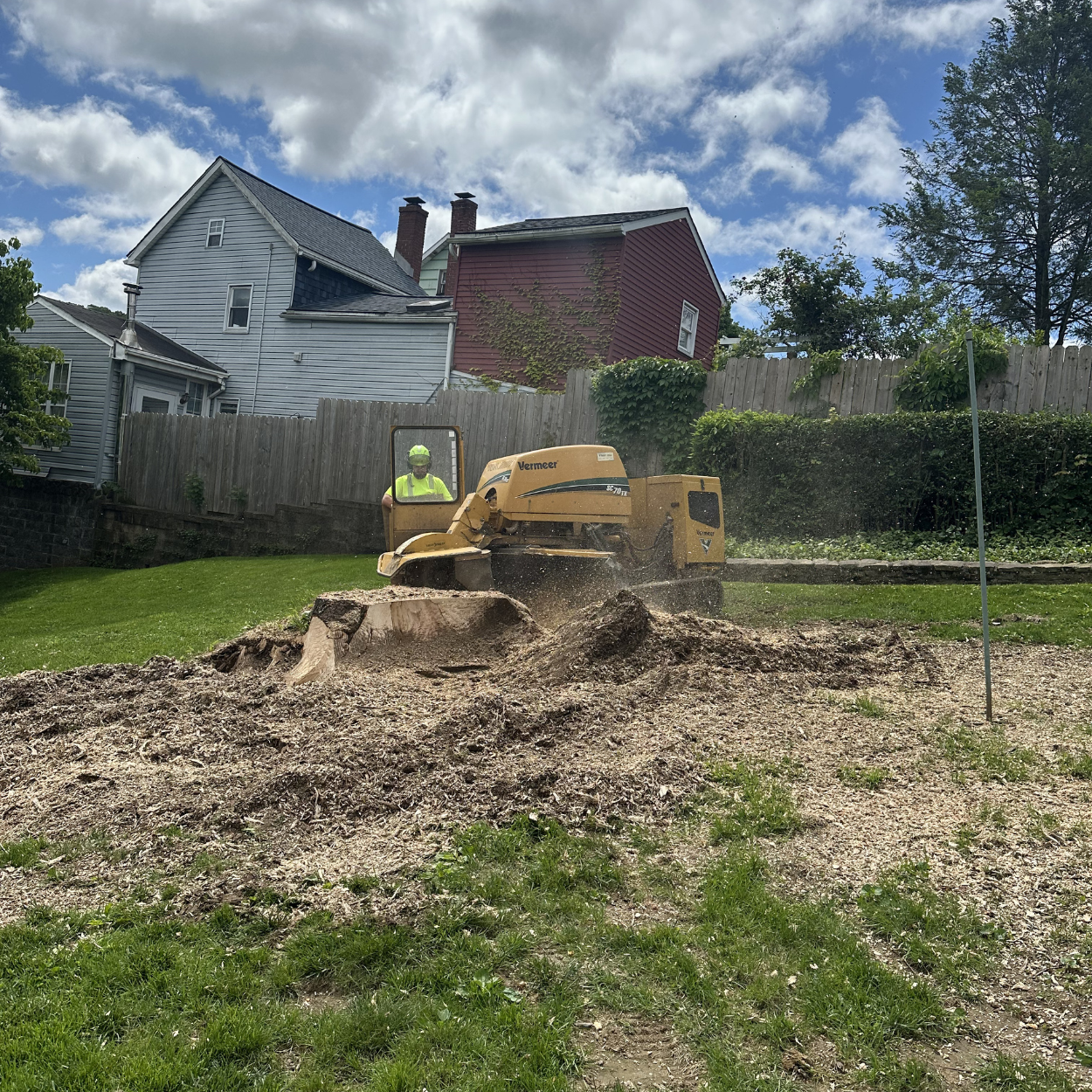 Precision Tree Experts Precision Tree Experts