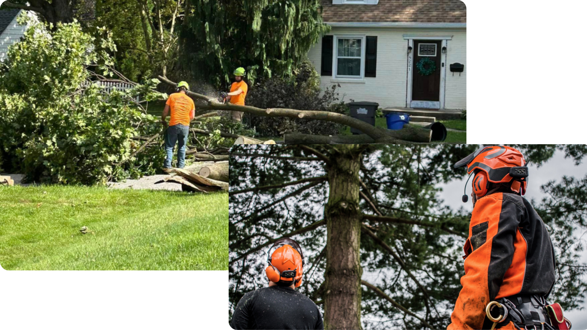 Tree service truck in a Pennsylvania neighborhood