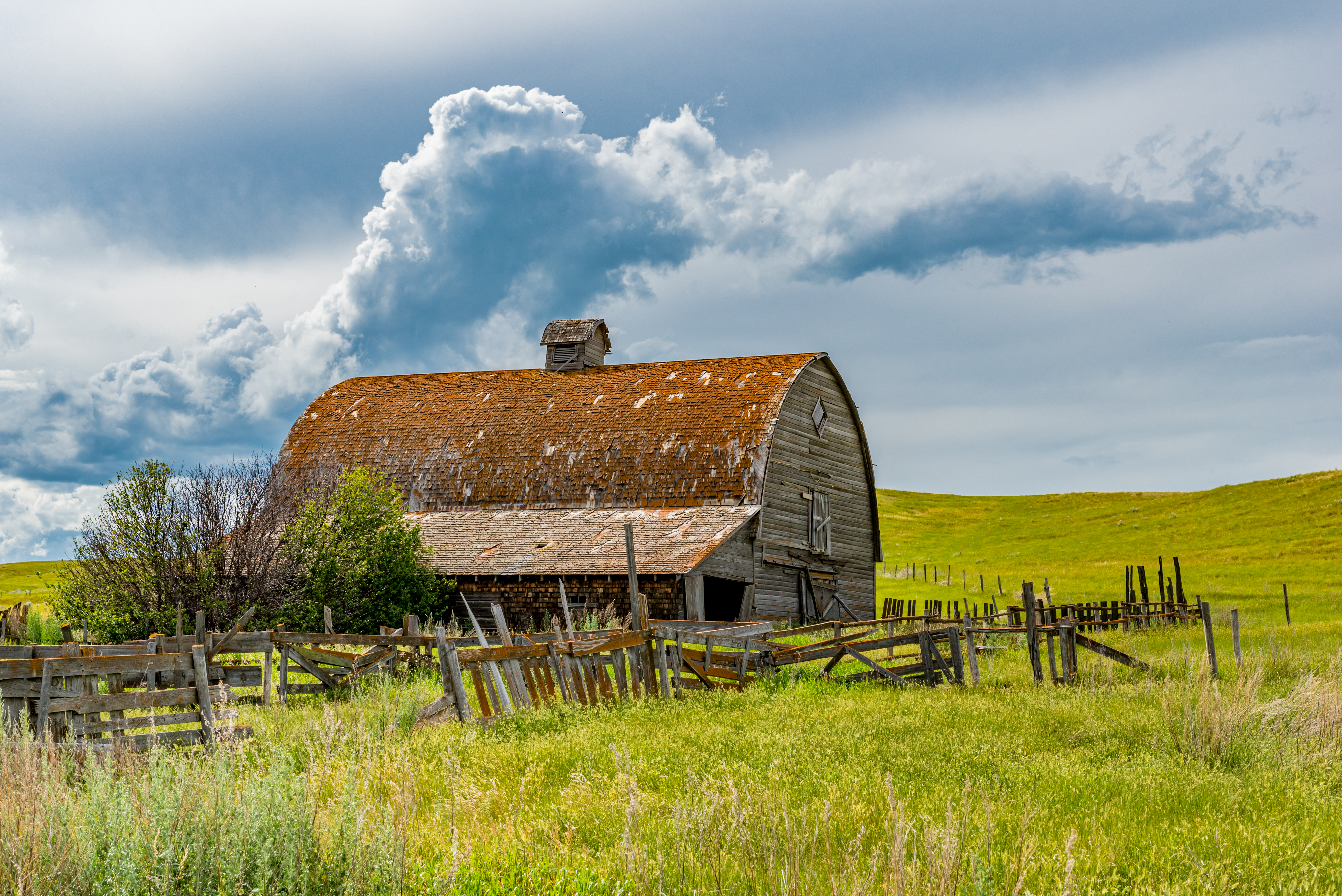 Chiropractor near Assiniboia performing spinal adjustment for active patient seeking pain relief