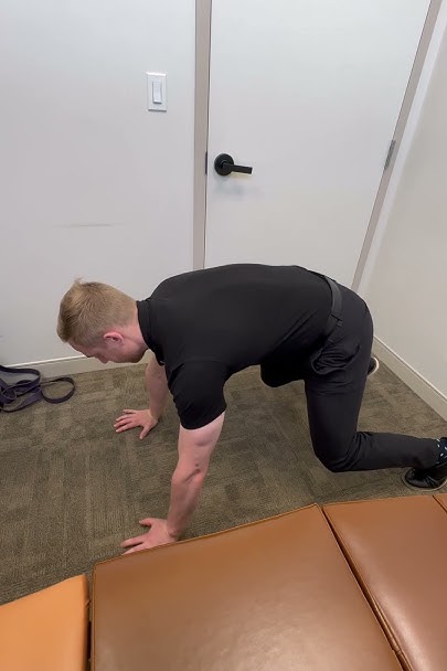 Bear Crawls Exercise