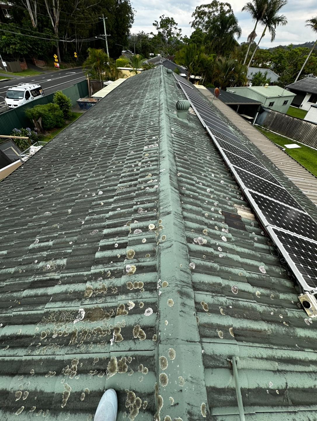 Before — dirty roof Gold Coast
