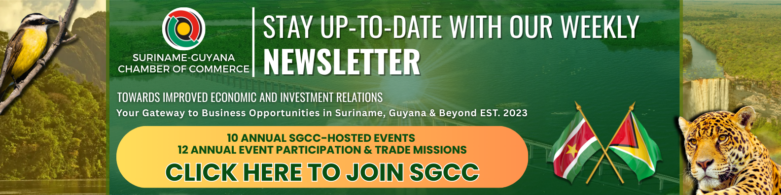 SGCC Newsletter 2024-09