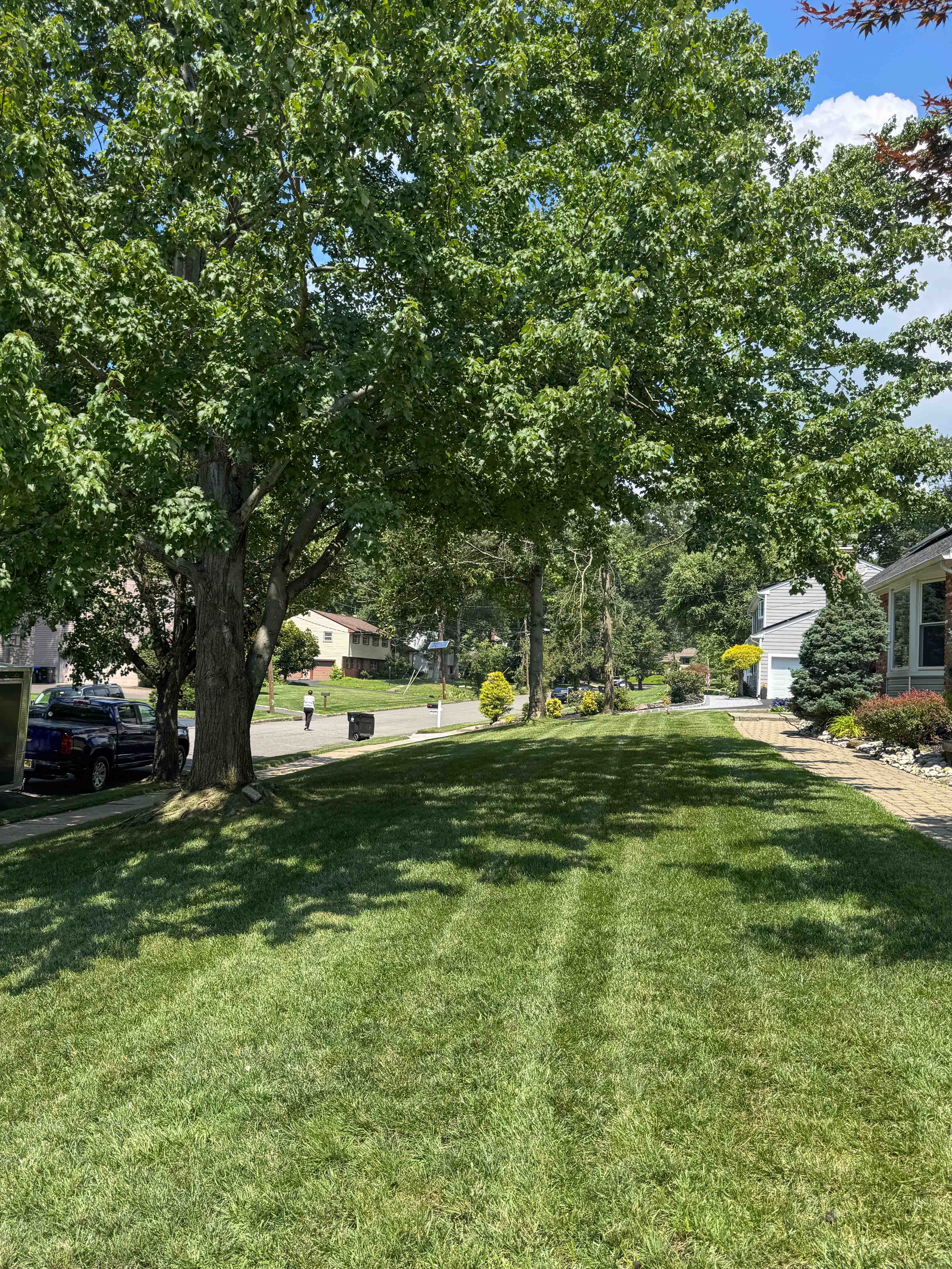 Carr & Son Landscaping project 5, South River NJ
