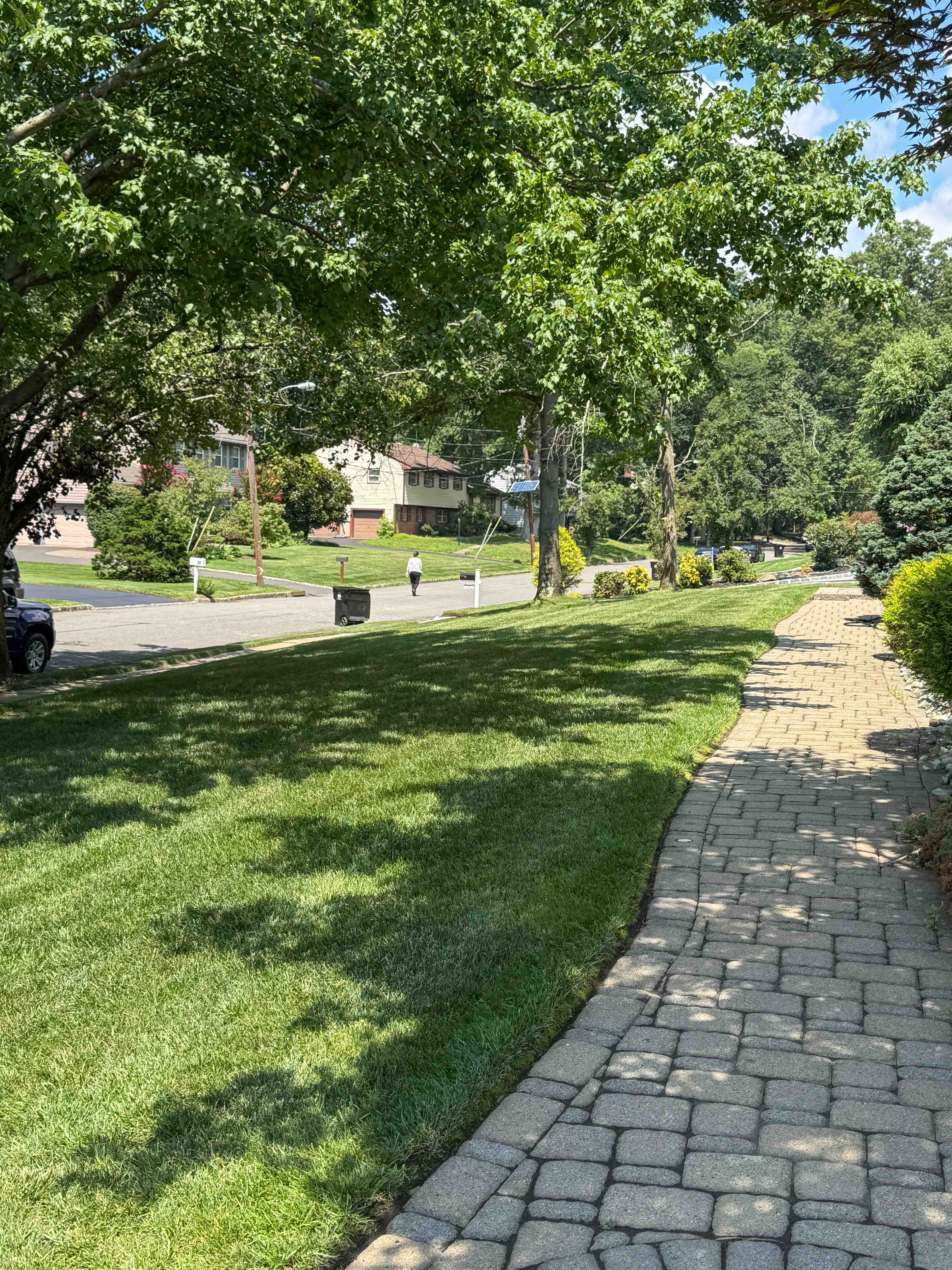 Carr & Son Landscaping project 2, South River NJ