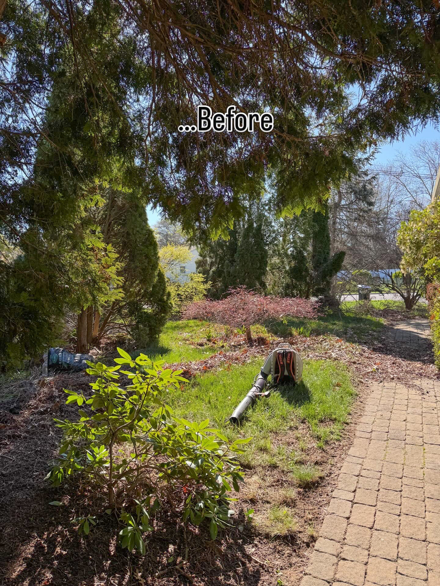 Yard before landscaping work, South River NJ