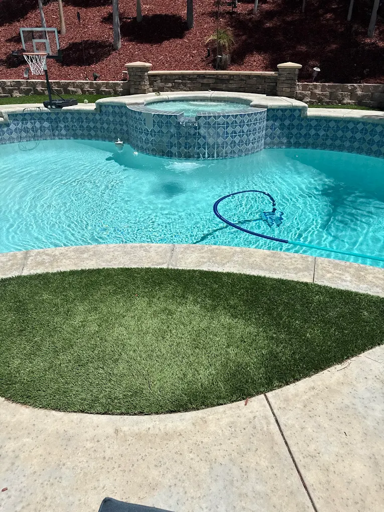 Green pool before treatment