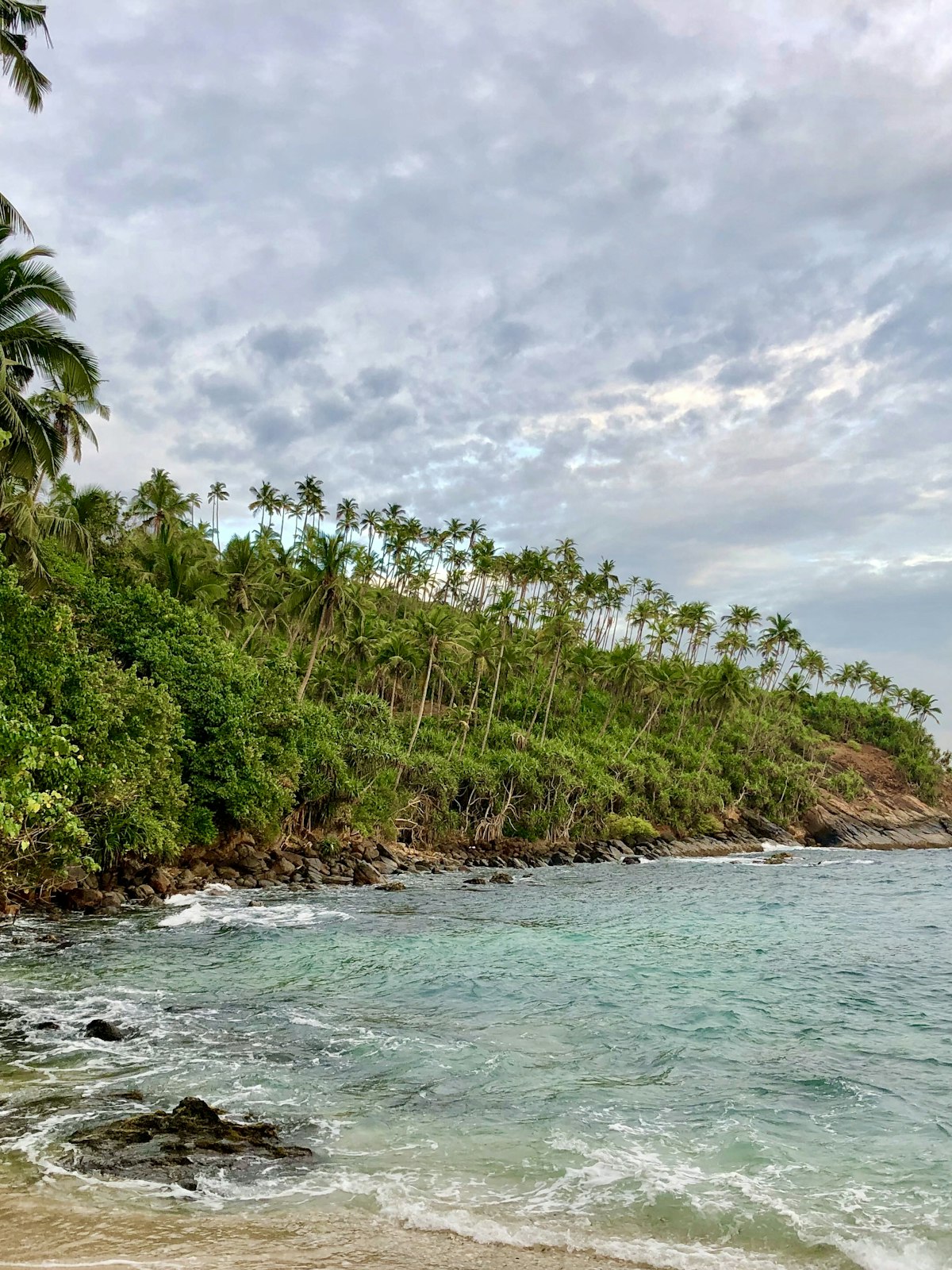 Palm-lined tropical beach in Sri Lanka