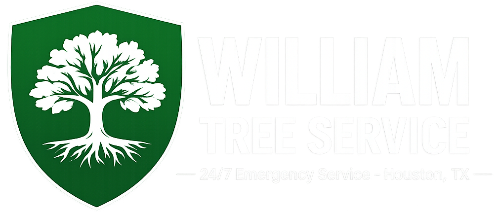 Tree Service Houston, TX