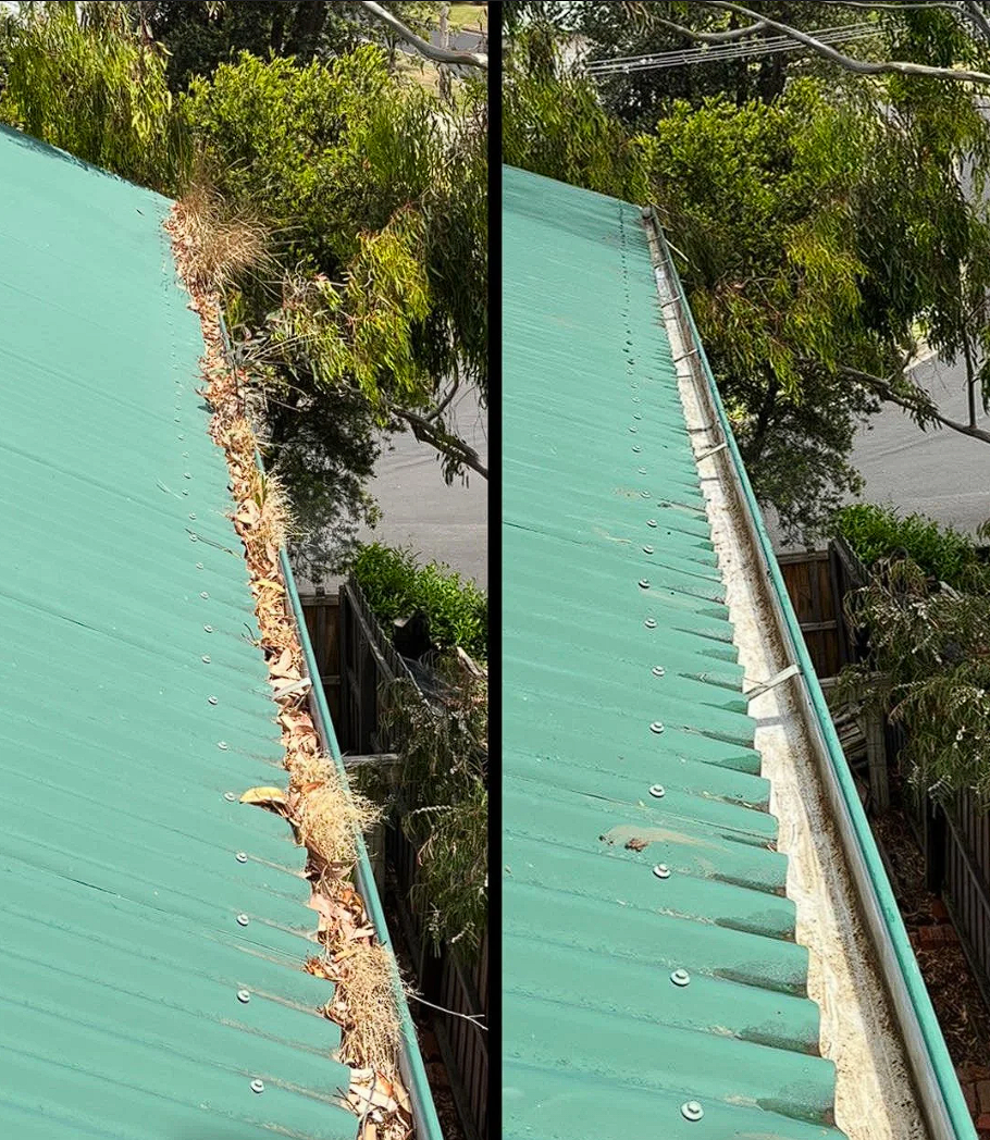 Gutter cleaning Worcester MA