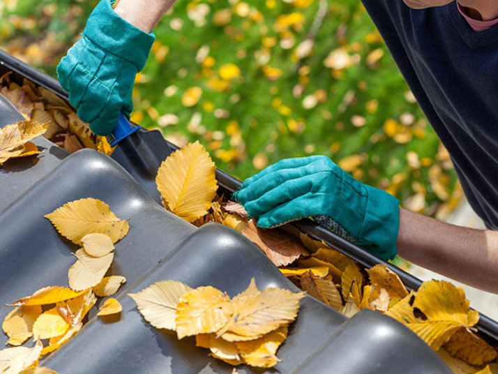 Gutter Cleaning