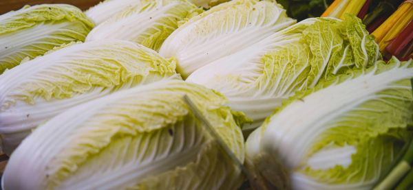 Gemüse-Offensive 2 - Chinakohl: so viel mehr als Salat