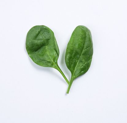 Gemüse-Offensive 5 - Babyspinat: nicht nur für den kleinen Popeye