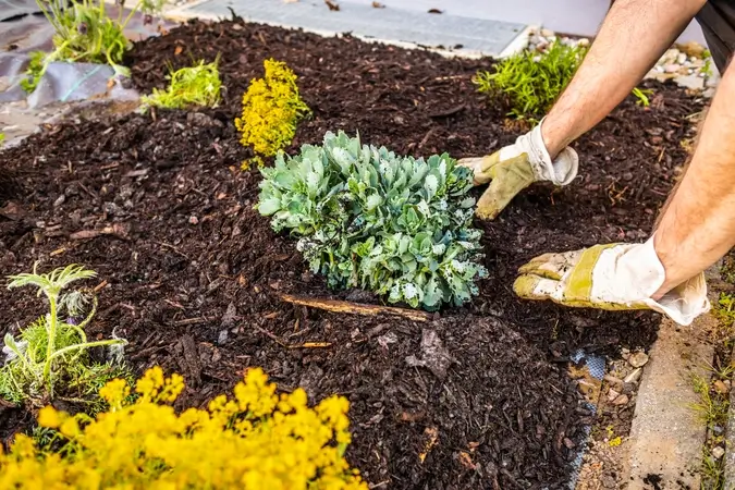  Planting Services