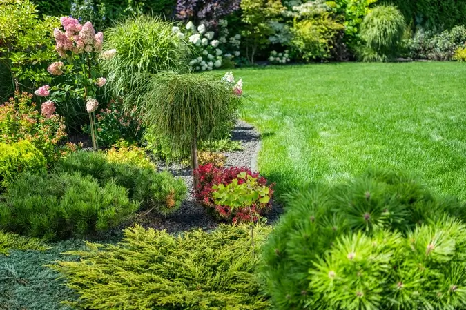 San Francisco the bay area Hardscaping Services