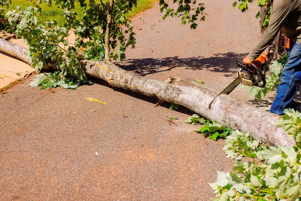 Fort Pierce custom_values.broad_service_name }}