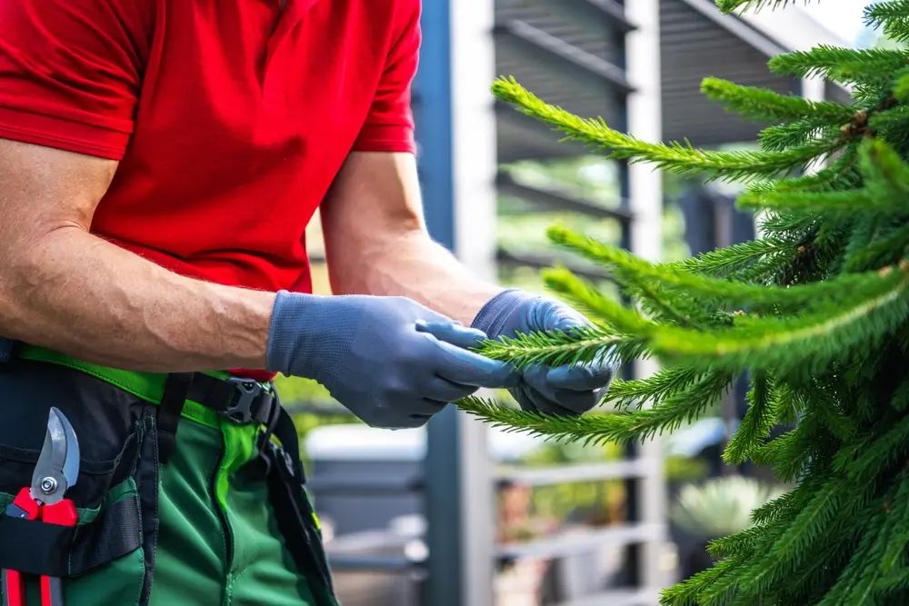 The Treasure Coast custom_values.broad_service_name }}