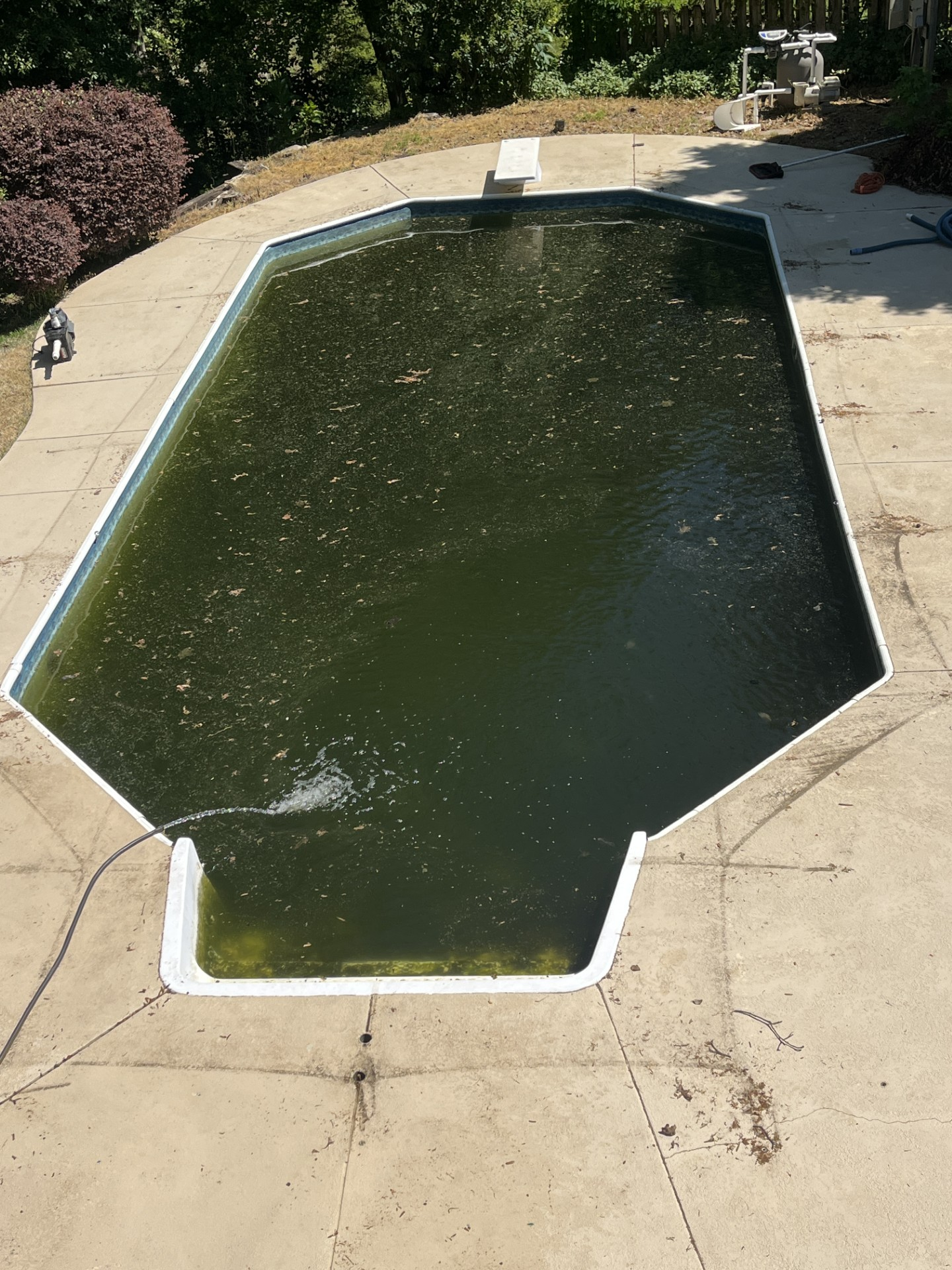 Before - Green dirty pool