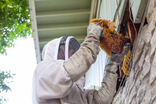 Professional field technician prepared for property service work