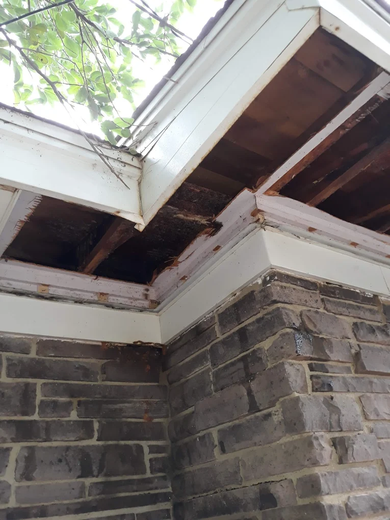 Residential property protected with bee removal service