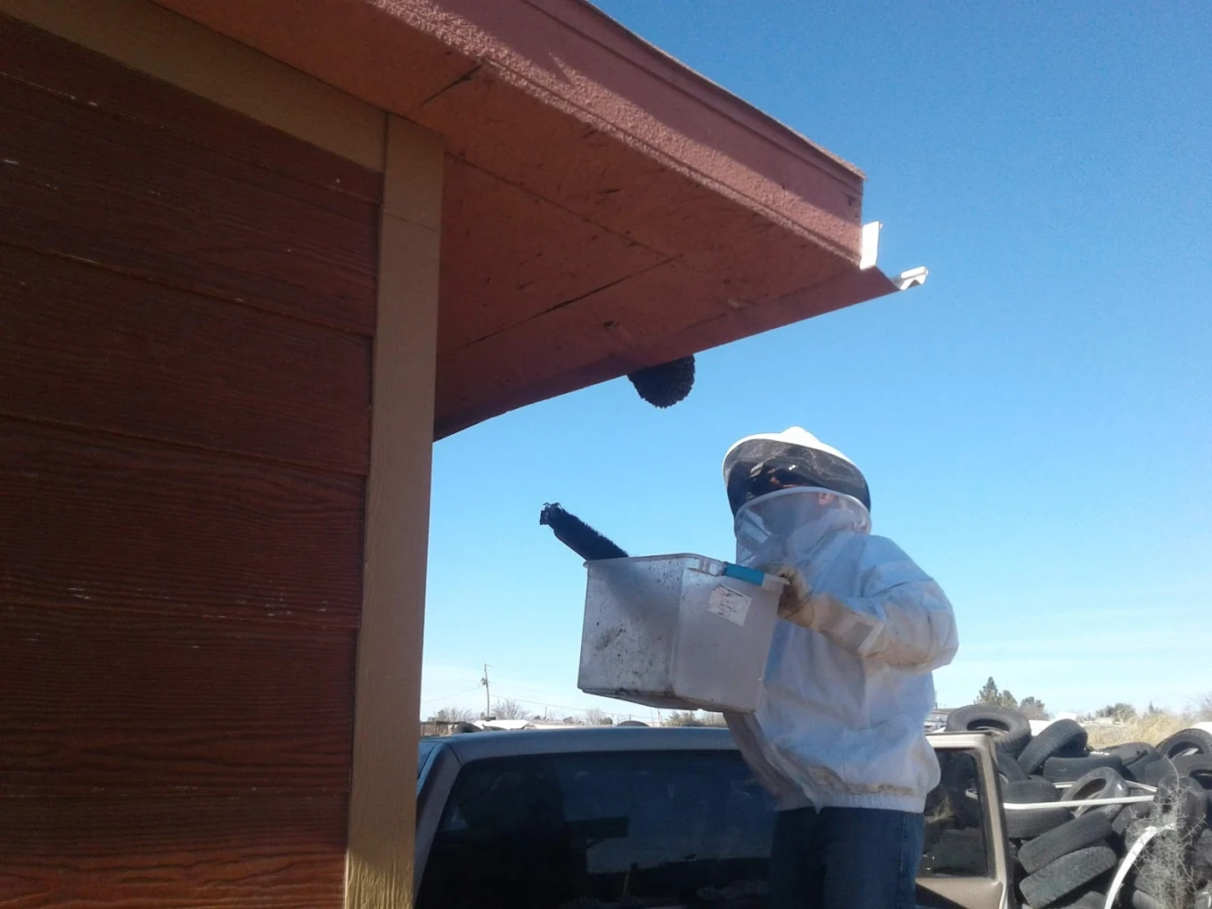 Residential exterior service