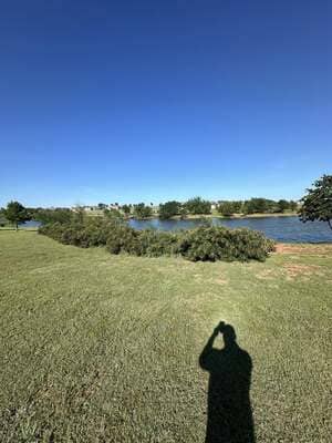 {{ custom_values.service_3 }} in {{custom_values.area_3})