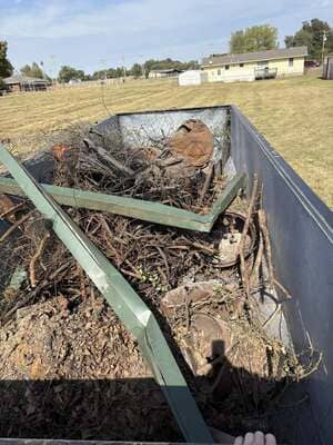 Land Clearing in Newcastle