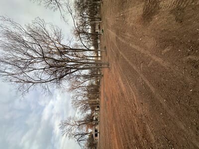 {{ custom_values.service_2 }} in {{custom_values.area_2})