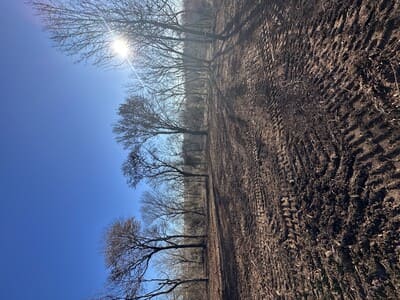 {{ custom_values.service_2 }} in {{custom_values.area_2})