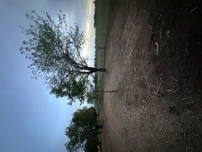 Site Prep in Newcastle