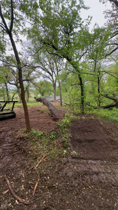 Tin horn services in Newcastle