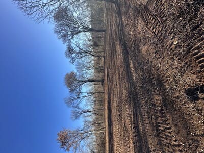 {{ custom_values.service_2 }} in {{custom_values.area_2})